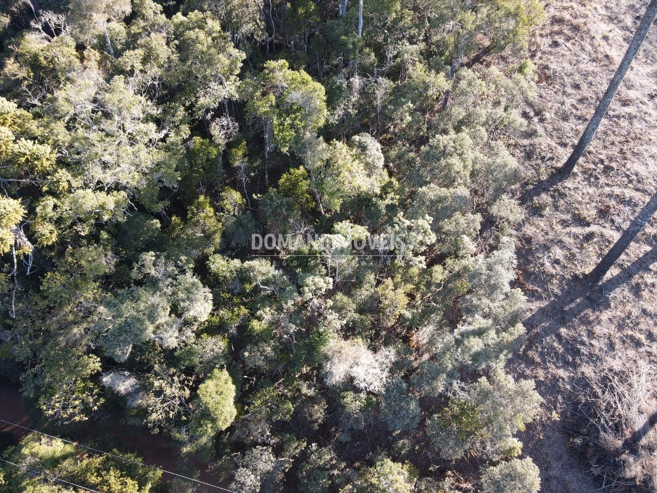Plot of 1,100 m² in Campos do Jordão, SP, Brazil