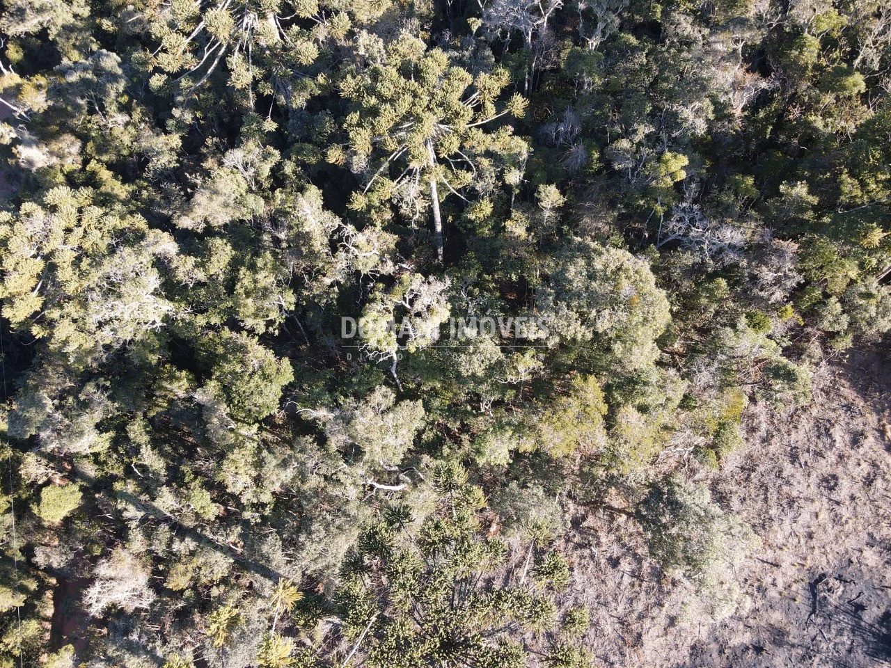 Plot of 1,100 m² in Campos do Jordão, SP, Brazil