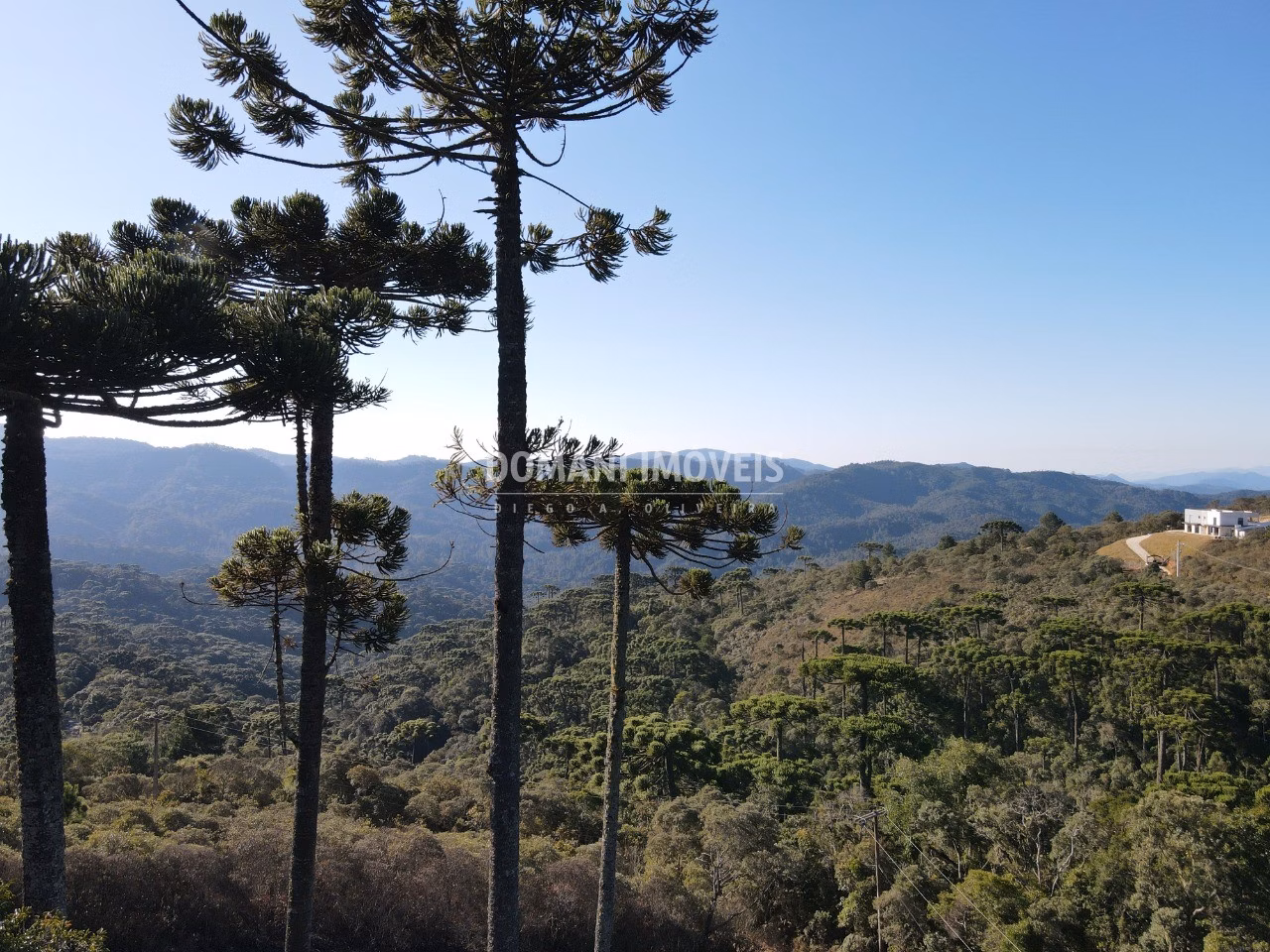Plot of 1,100 m² in Campos do Jordão, SP, Brazil