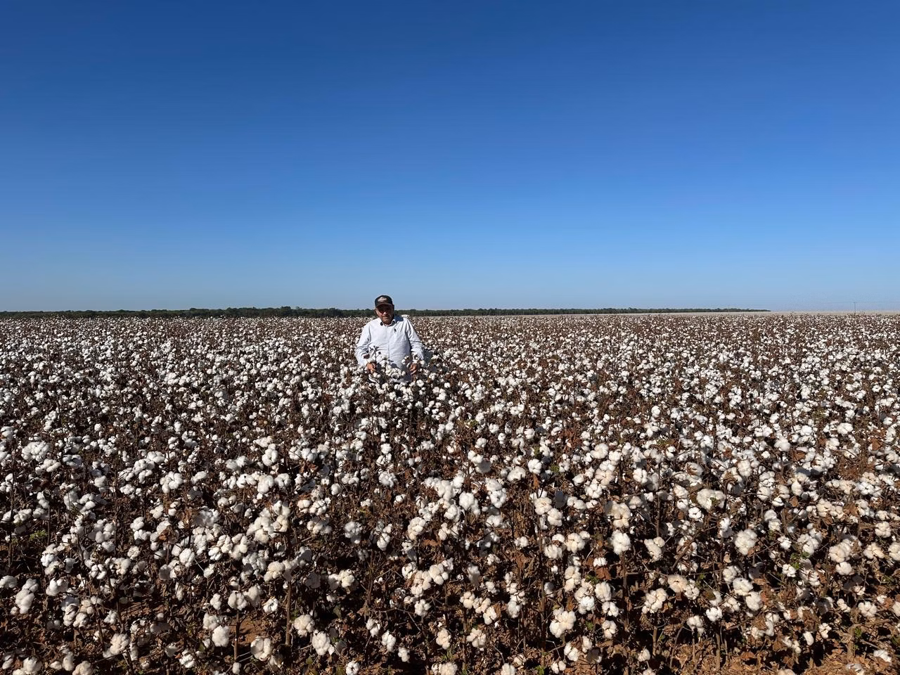 Fazenda de 16.932 ha em Nova Ubiratã, MT