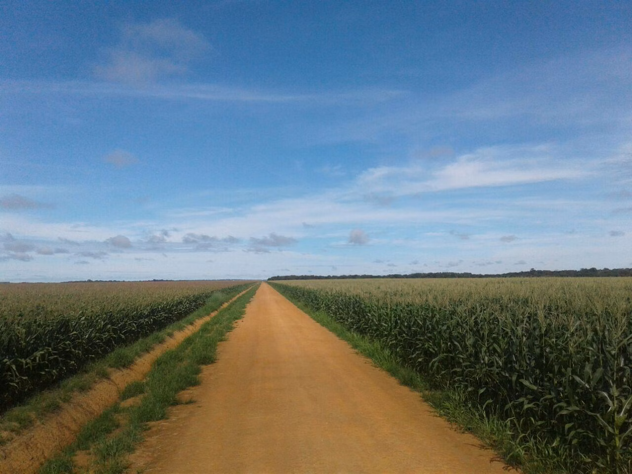Fazenda de 16.932 ha em Nova Ubiratã, MT