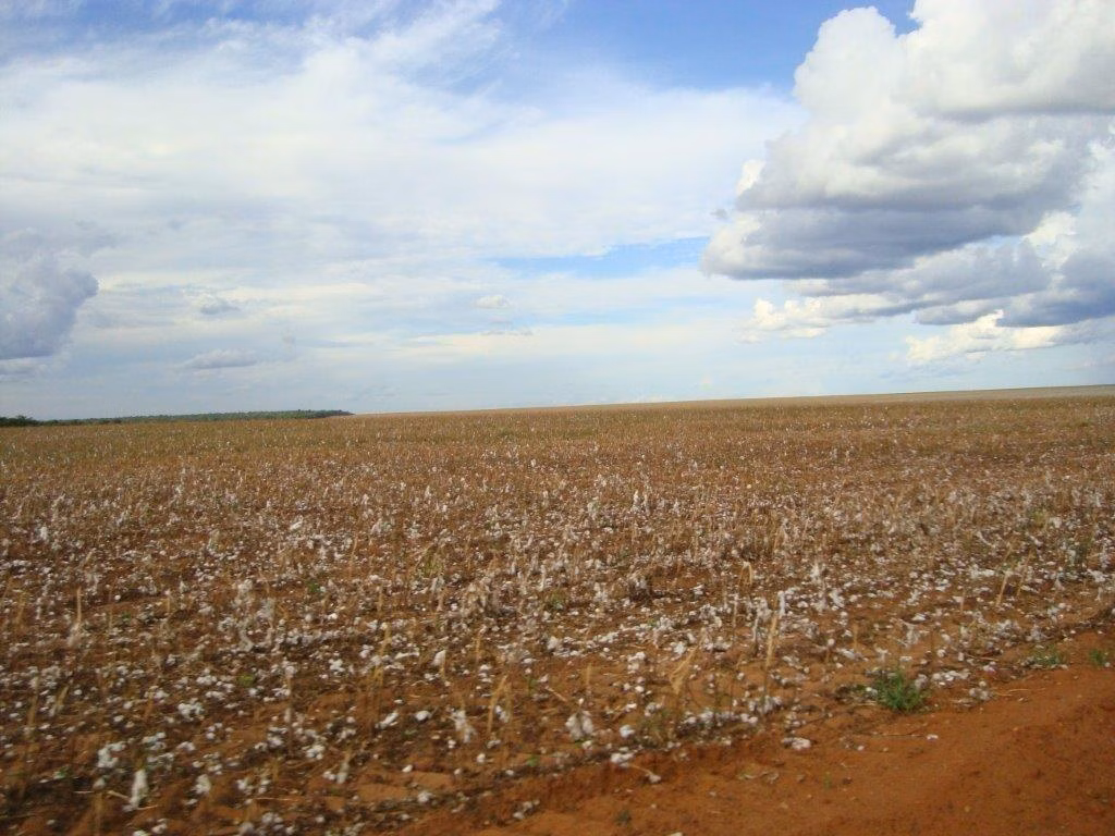 Fazenda de 16.932 ha em Nova Ubiratã, MT