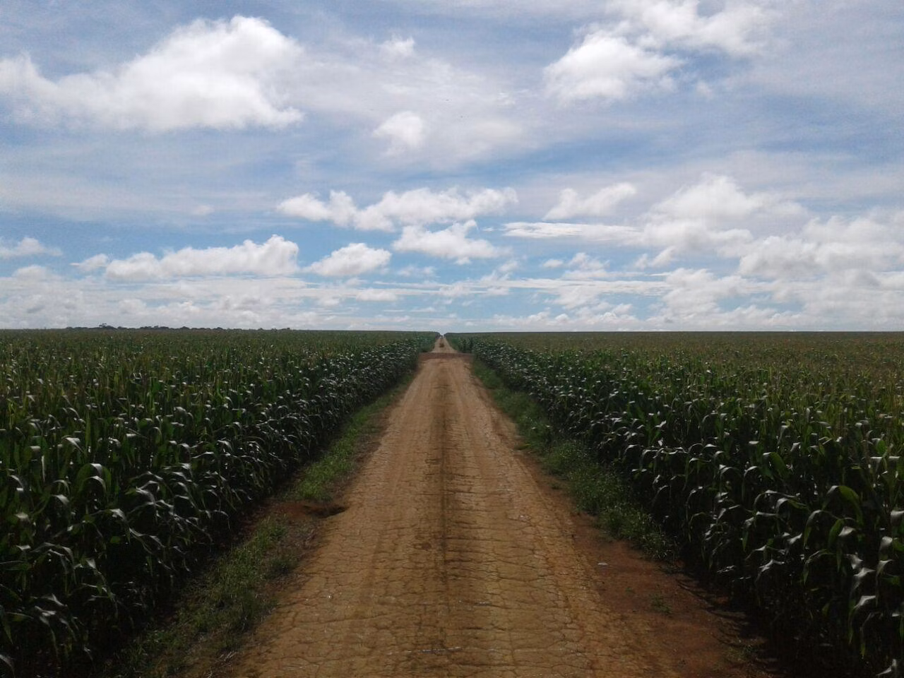 Fazenda de 16.932 ha em Nova Ubiratã, MT