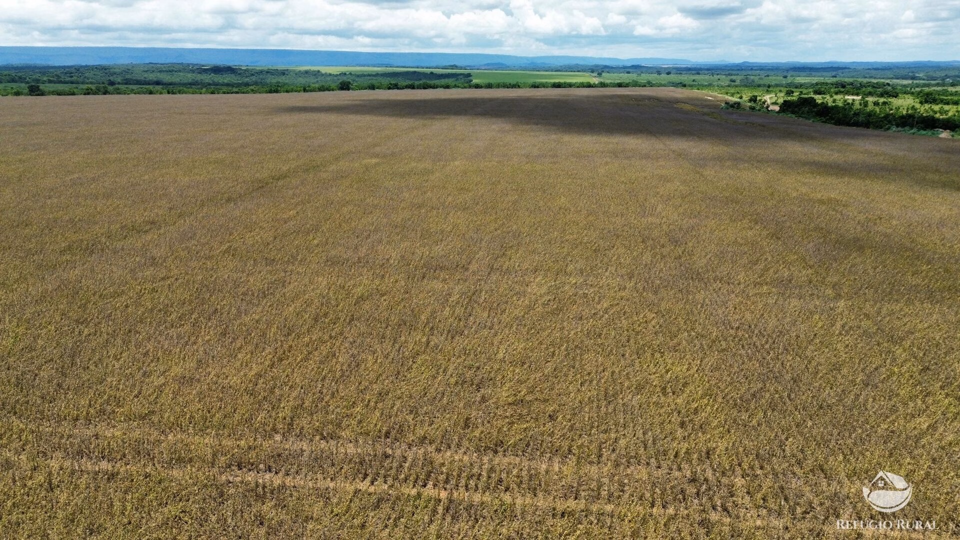 Fazenda de 803 ha em Nova Brasilândia, MT