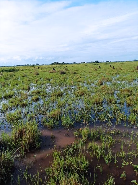 Fazenda de 9.380 ha em Poconé, MT