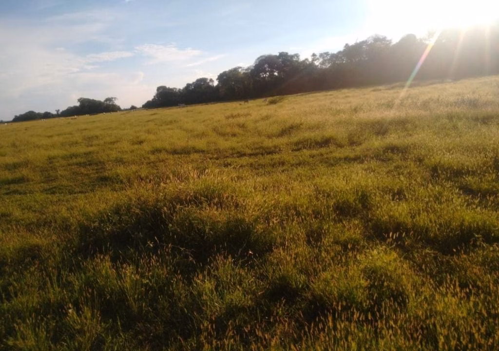 Fazenda de 9.380 ha em Poconé, MT