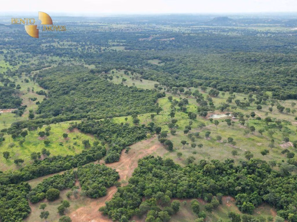 Fazenda de 178 ha em Pedra Preta, MT