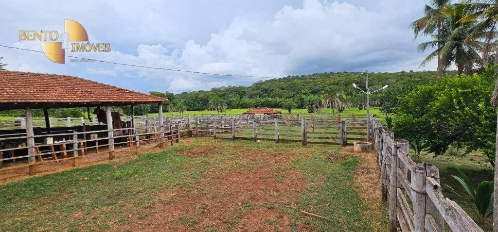 Fazenda de 178 ha em Pedra Preta, MT