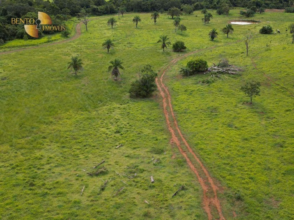 Fazenda de 178 ha em Pedra Preta, MT