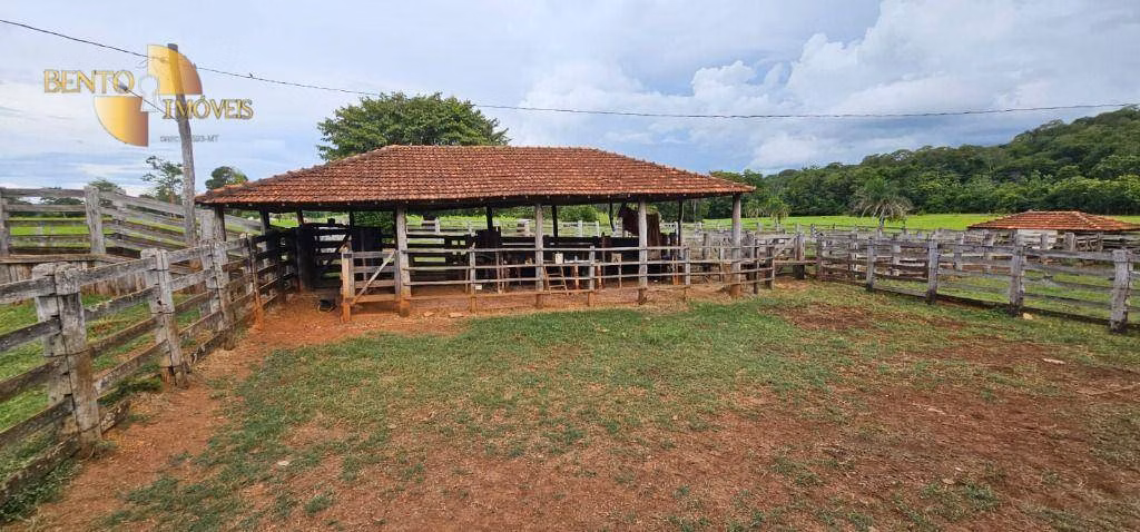 Fazenda de 178 ha em Pedra Preta, MT