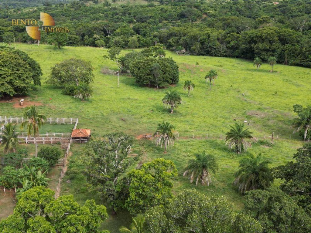 Fazenda de 178 ha em Pedra Preta, MT