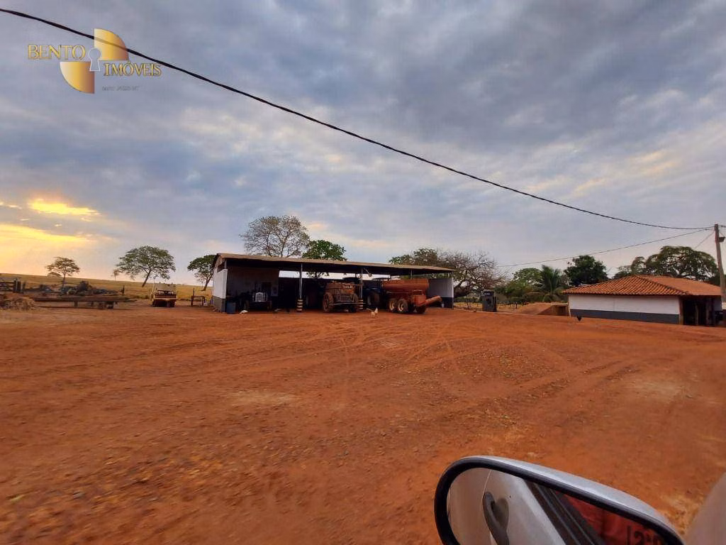 Fazenda de 4.235 ha em Rondonópolis, MT