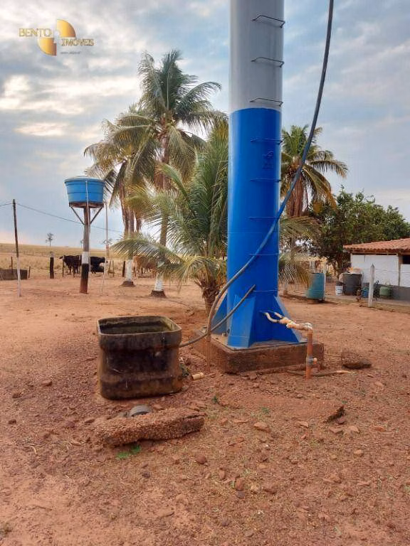 Fazenda de 4.235 ha em Rondonópolis, MT
