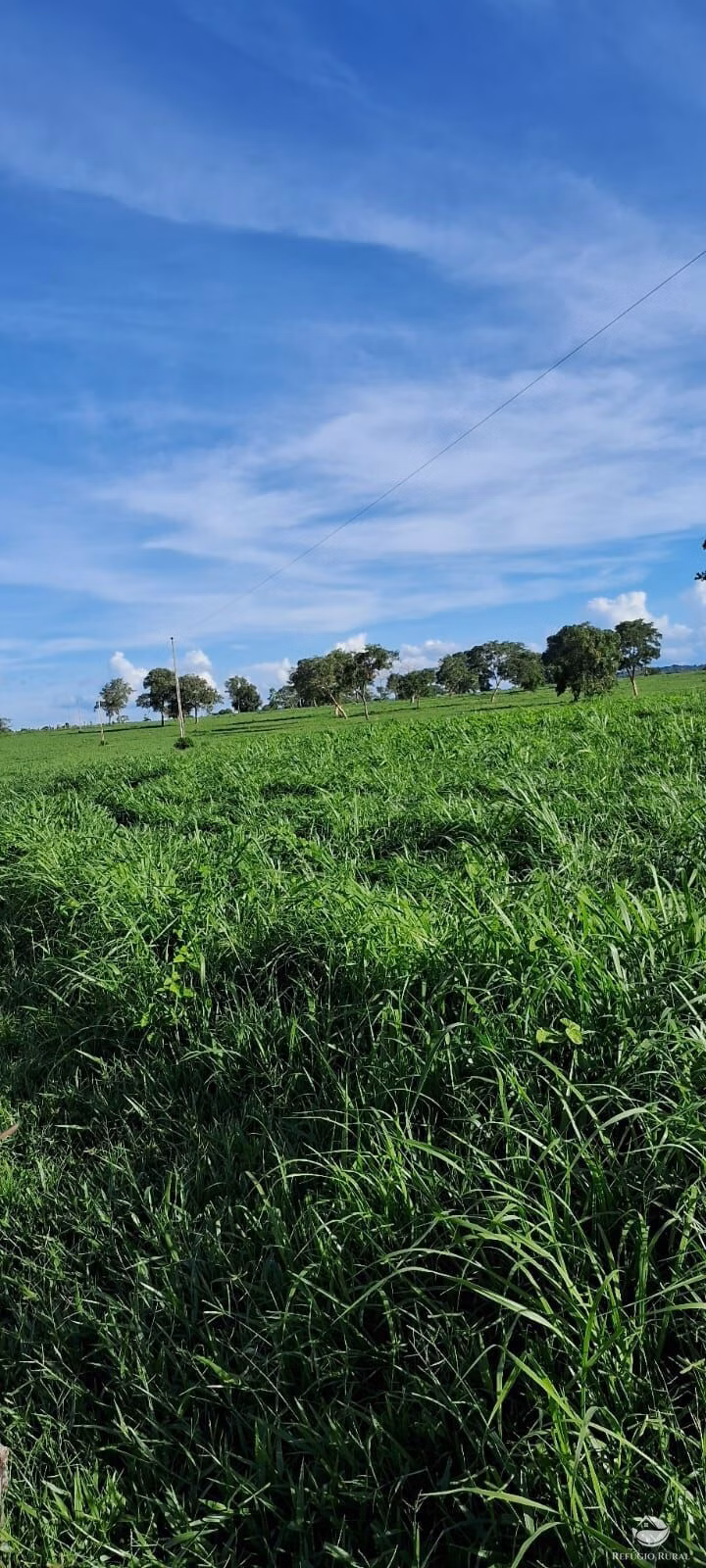 Farm of 2.471 acres in General Carneiro, MT, Brazil