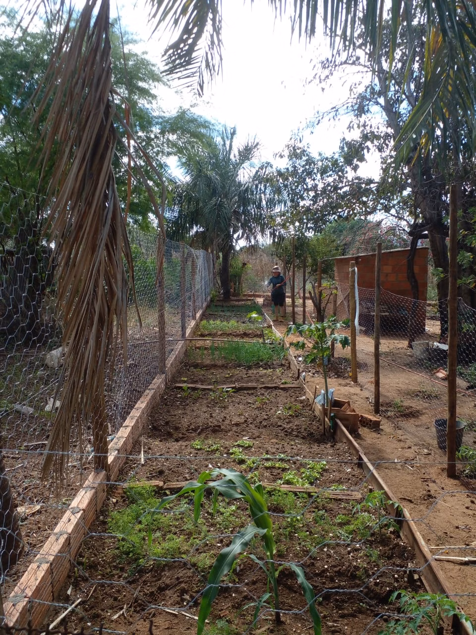 Small farm of 12 acres in Verdelândia, MG, Brazil