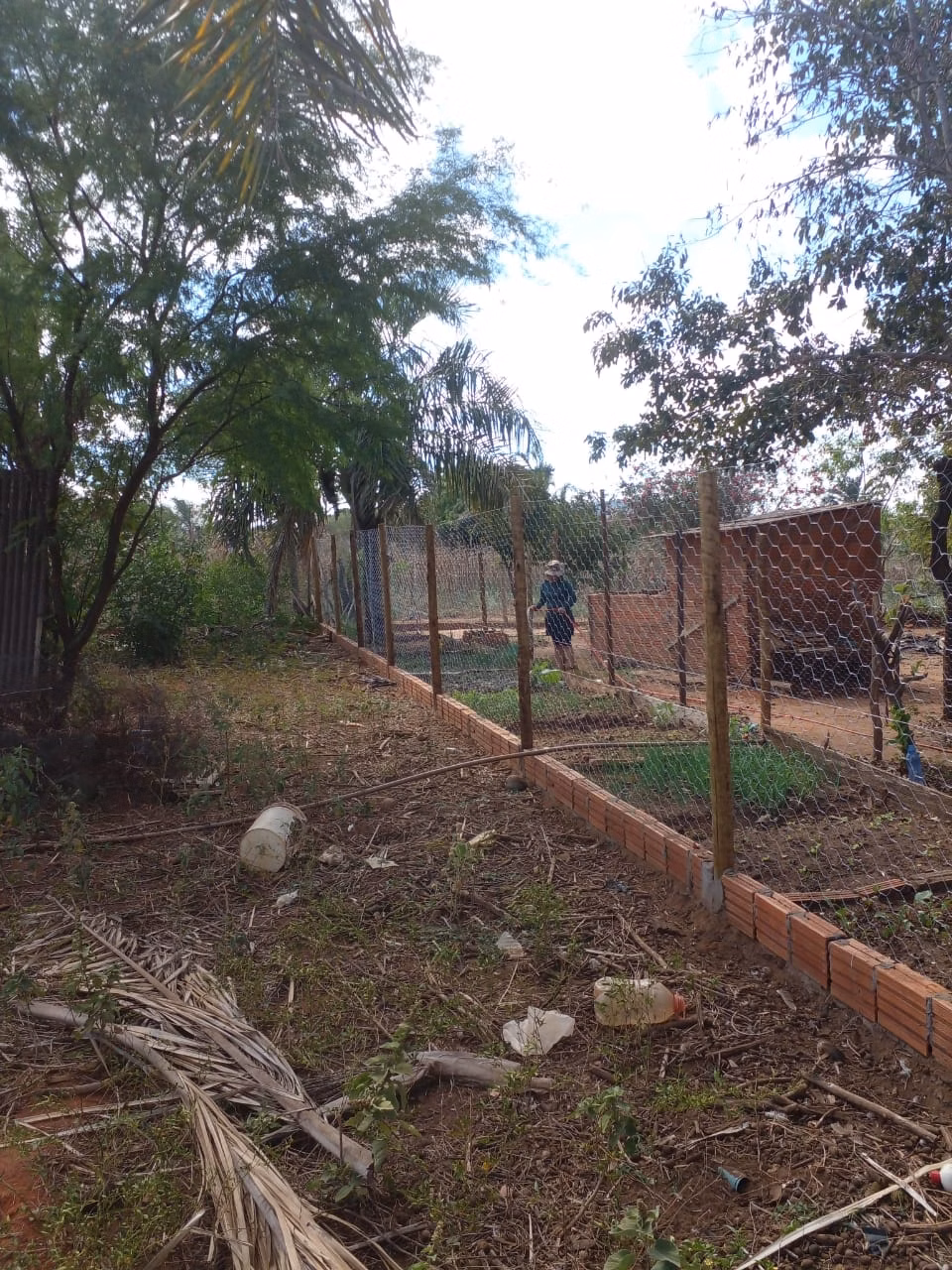 Small farm of 12 acres in Verdelândia, MG, Brazil