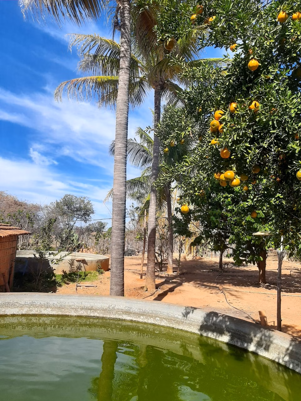 Small farm of 12 acres in Verdelândia, MG, Brazil