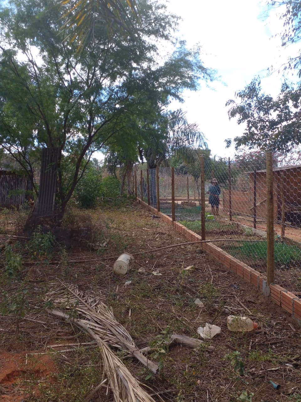 Small farm of 12 acres in Verdelândia, MG, Brazil