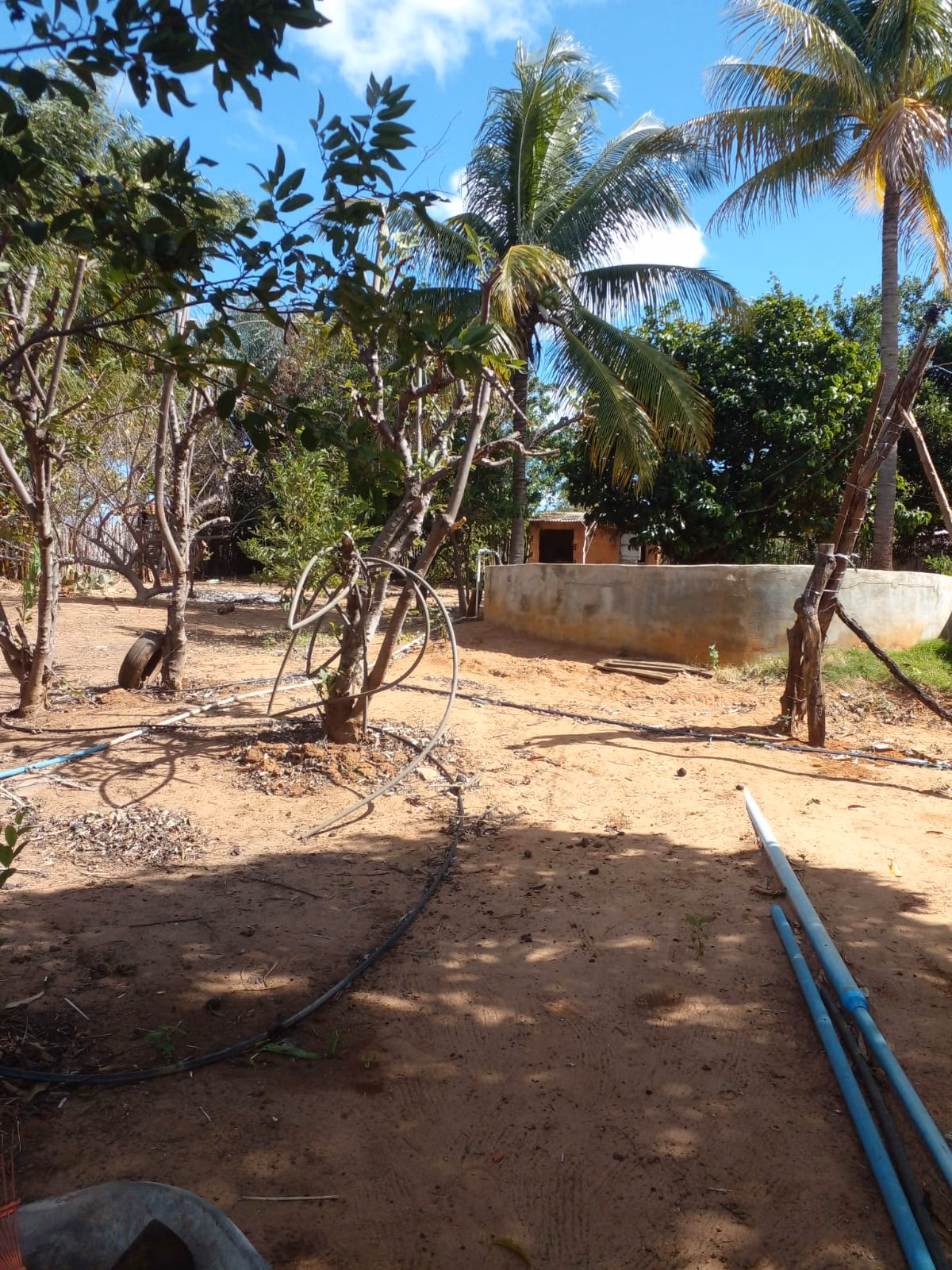 Small farm of 12 acres in Verdelândia, MG, Brazil