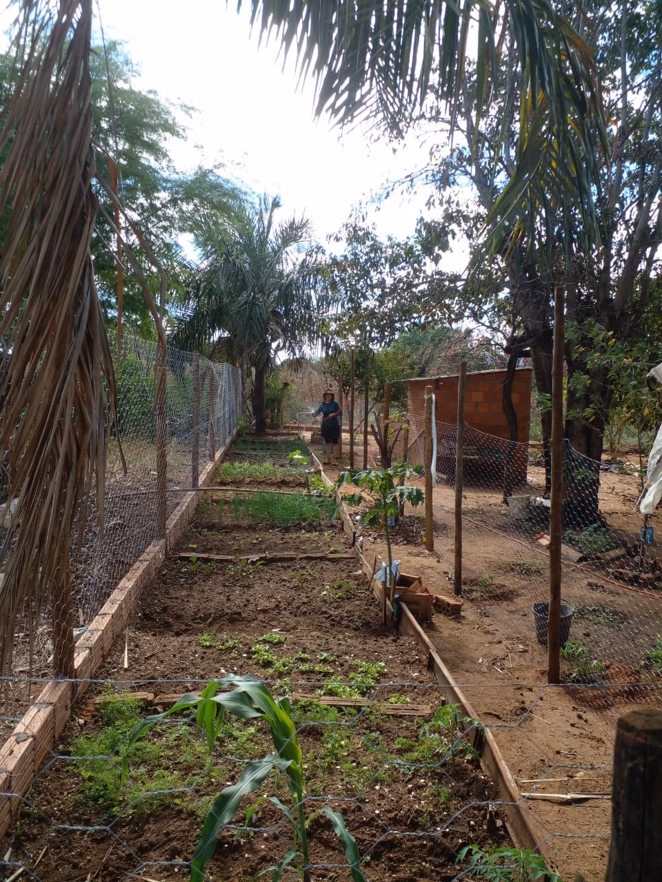 Small farm of 12 acres in Verdelândia, MG, Brazil