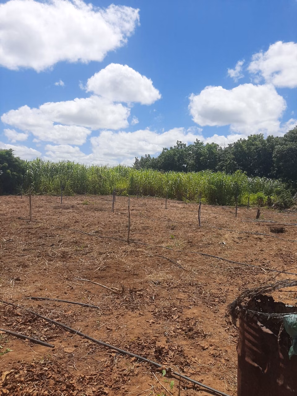 Small farm of 12 acres in Verdelândia, MG, Brazil