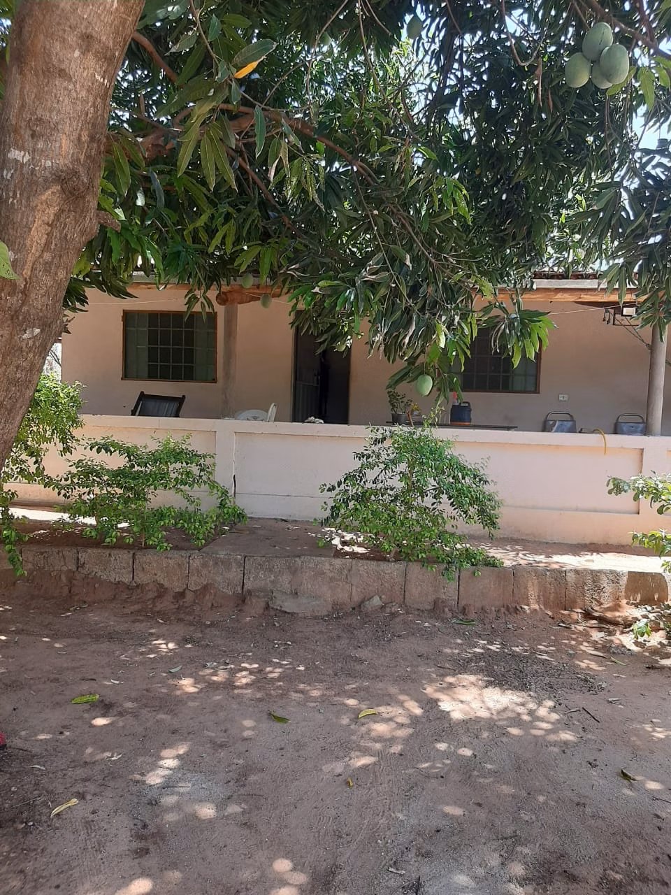 Small farm of 12 acres in Verdelândia, MG, Brazil