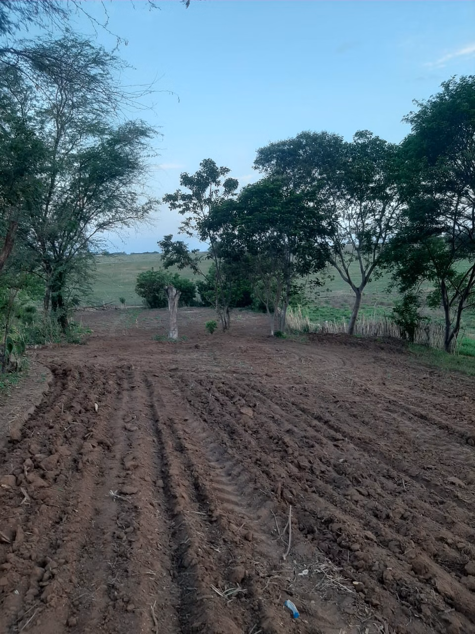 Small farm of 12 acres in Verdelândia, MG, Brazil