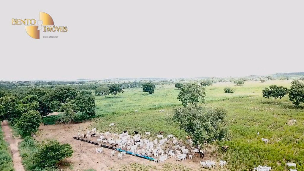Fazenda de 374 ha em Poconé, MT