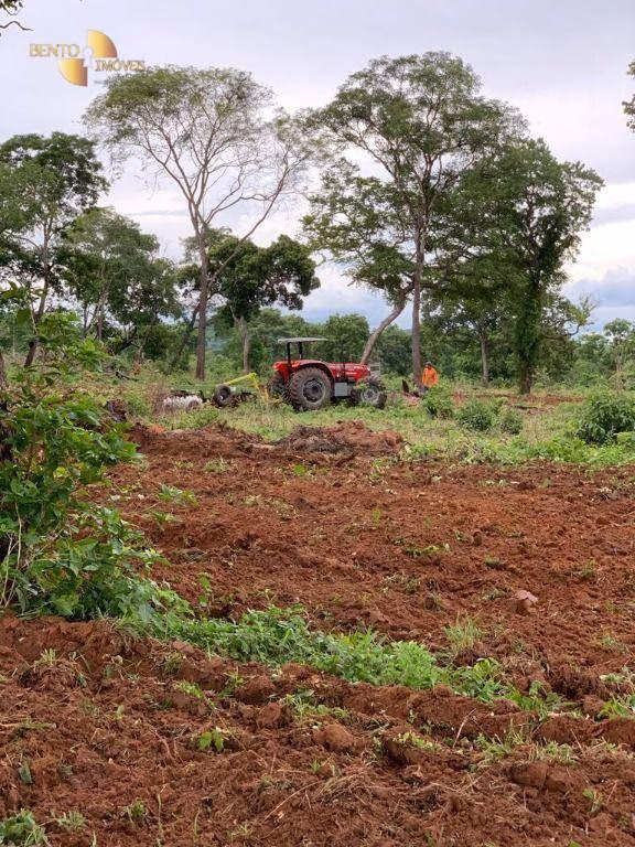 Fazenda de 374 ha em Poconé, MT