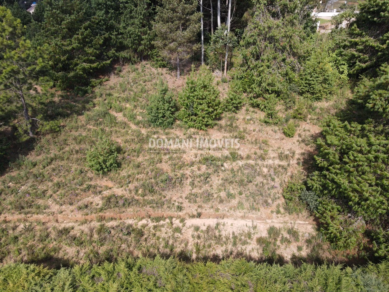 Plot of 1,480 m² in Campos do Jordão, SP, Brazil