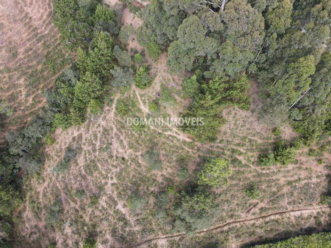 Plot of 1,480 m² in Campos do Jordão, SP, Brazil