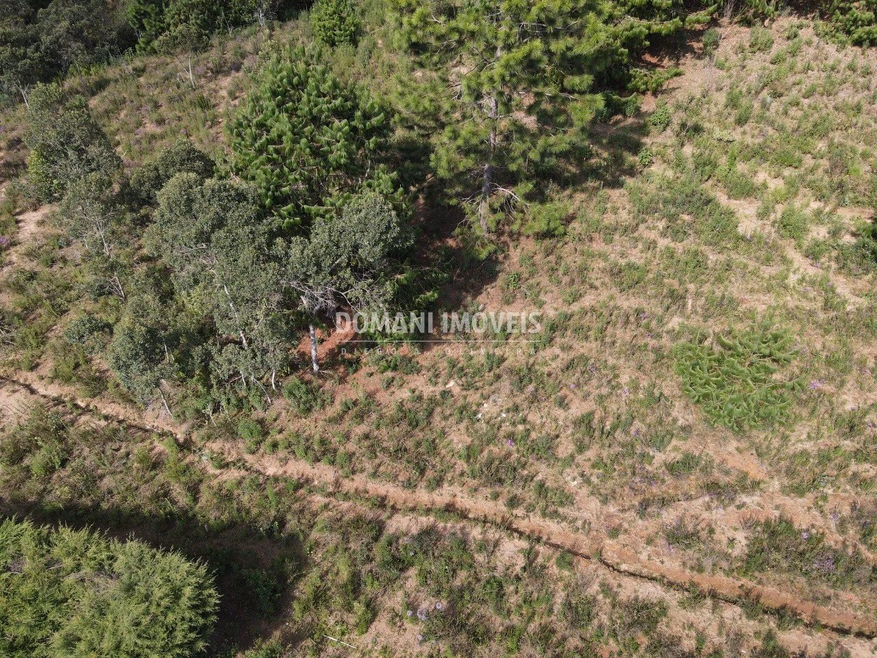 Plot of 1,480 m² in Campos do Jordão, SP, Brazil