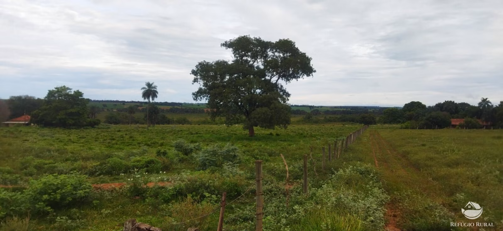 Sítio à venda de 9 ha em Fronteira, MG