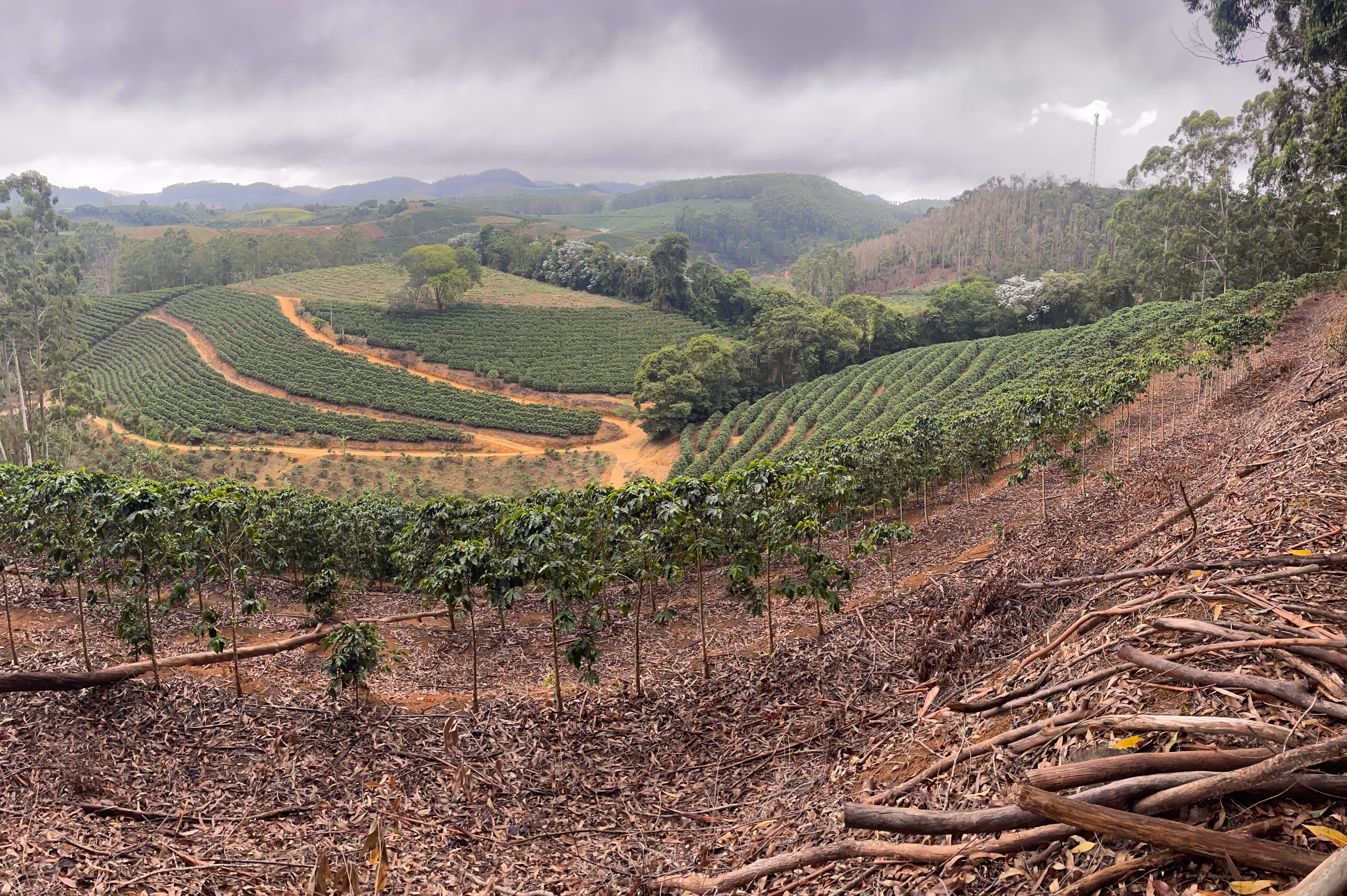 Fazenda à venda de 110 ha em Santa Teresa, ES