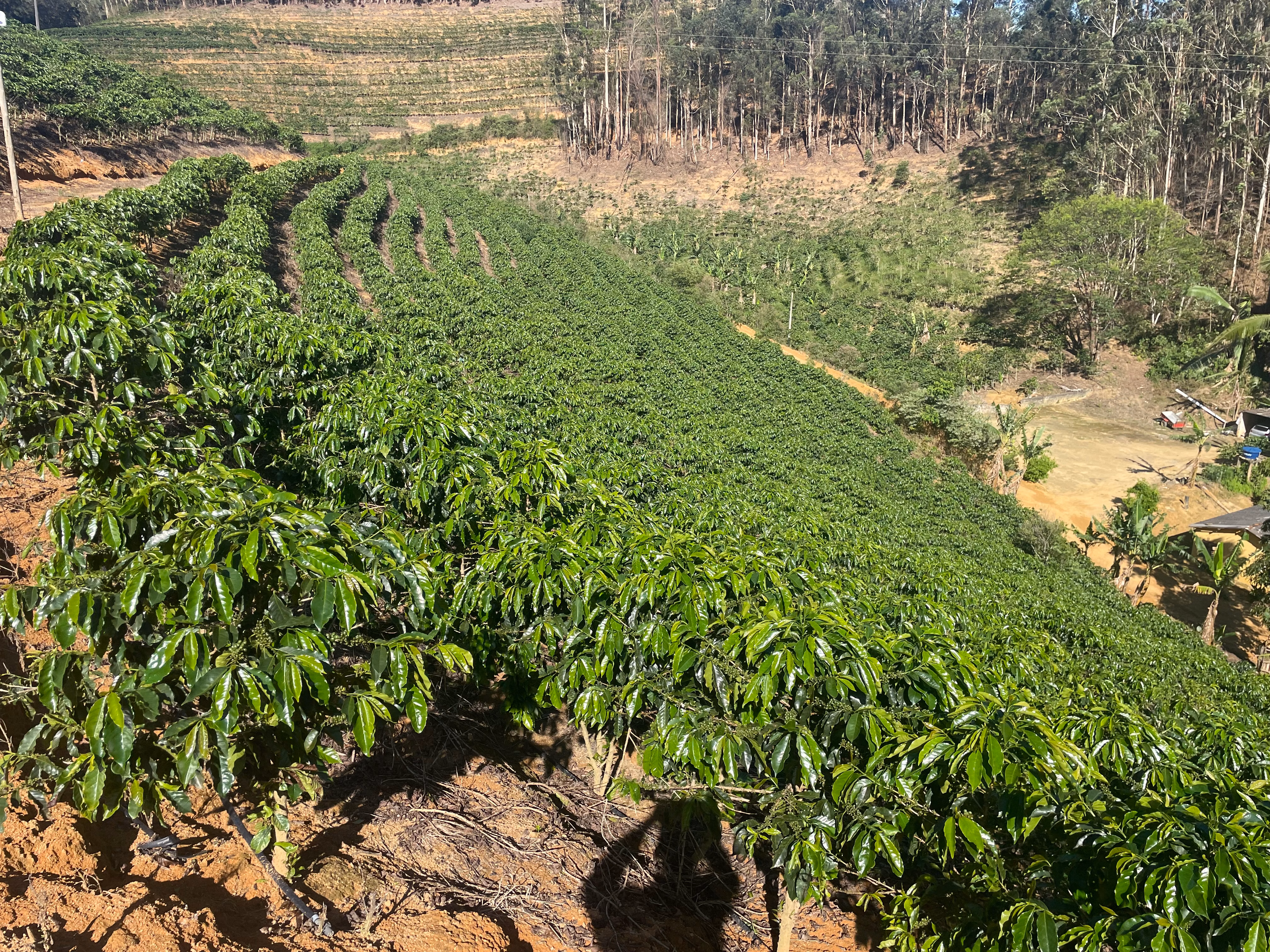 Fazenda à venda de 110 ha em Santa Teresa, ES