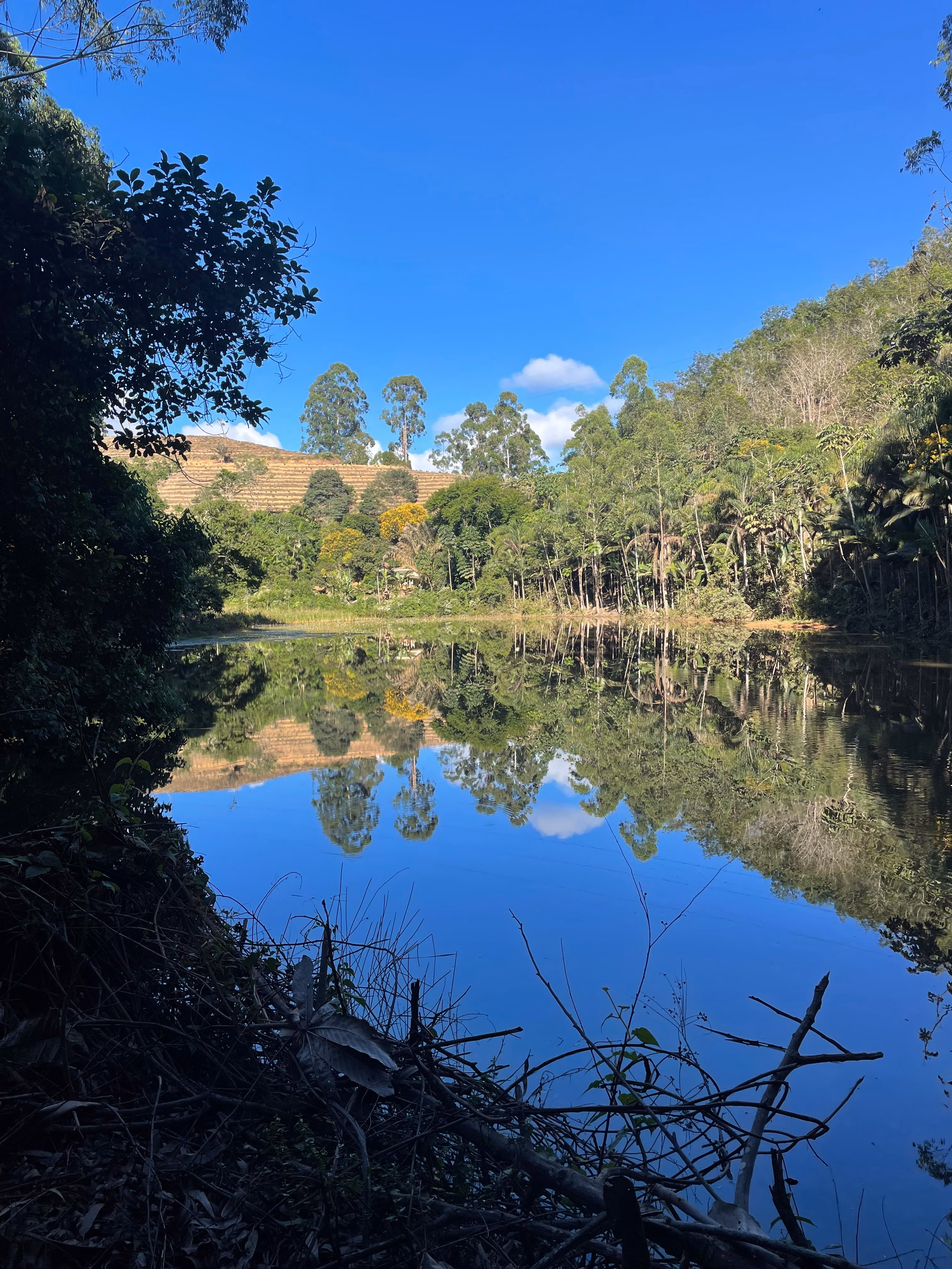 Fazenda à venda de 110 ha em Santa Teresa, ES