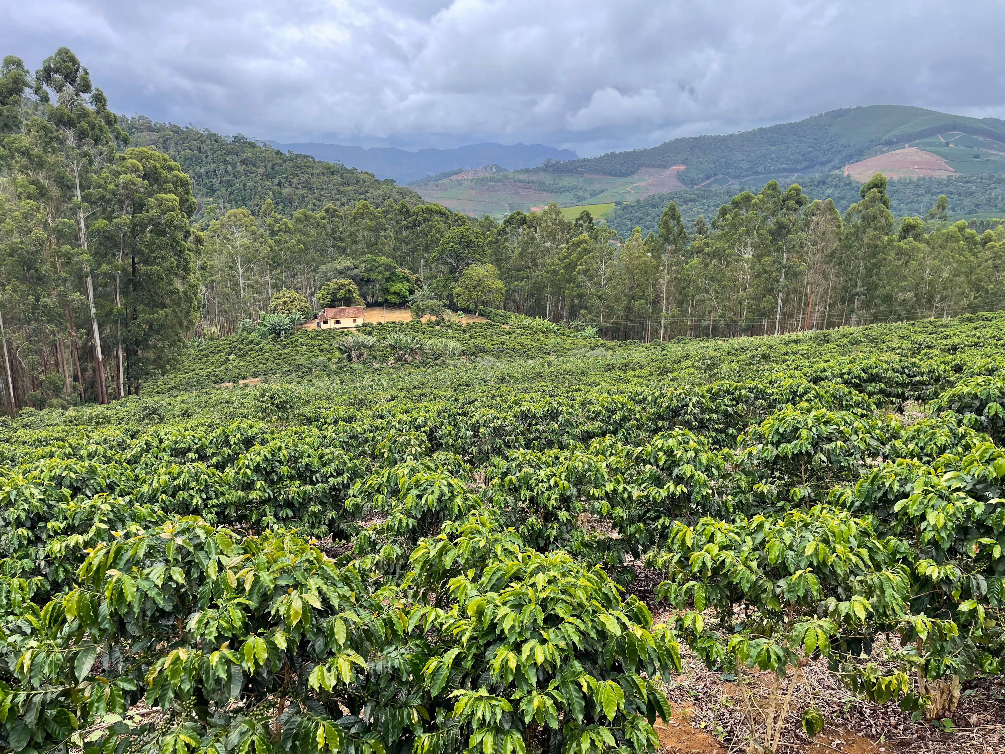 Fazenda à venda de 110 ha em Santa Teresa, ES