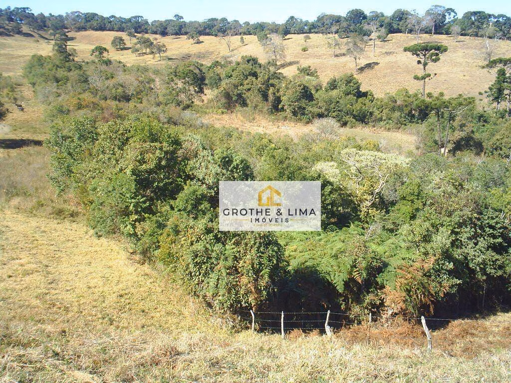 Small farm of 36 acres in Aiuruoca, MG, Brazil