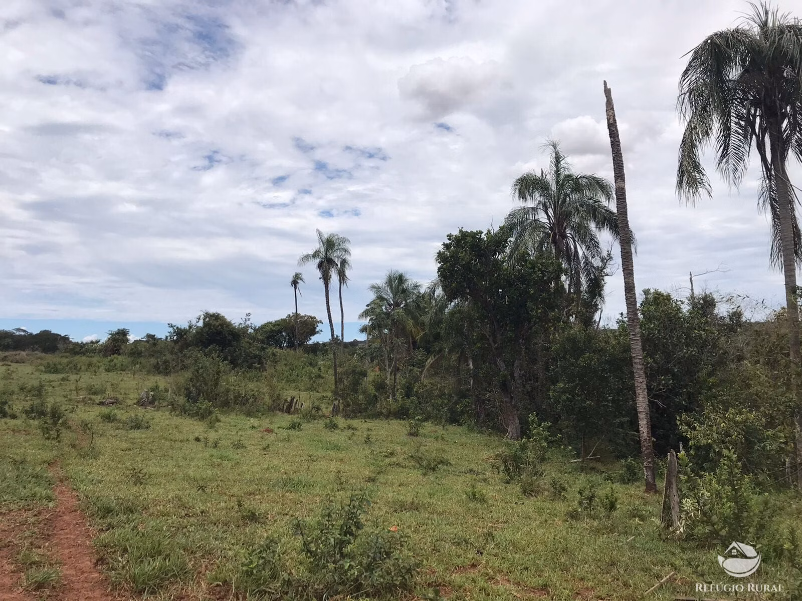 Fazenda à venda de 135 ha em Figueirão, MS