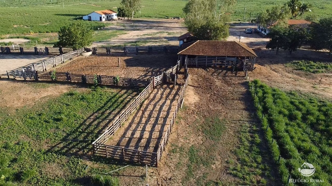 Fazenda de 2.003 ha em Jaíba, MG