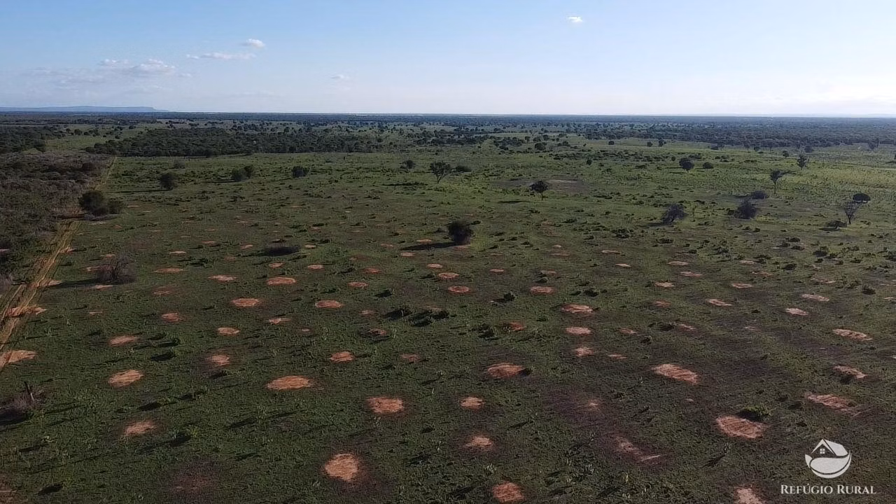 Fazenda de 2.003 ha em Jaíba, MG