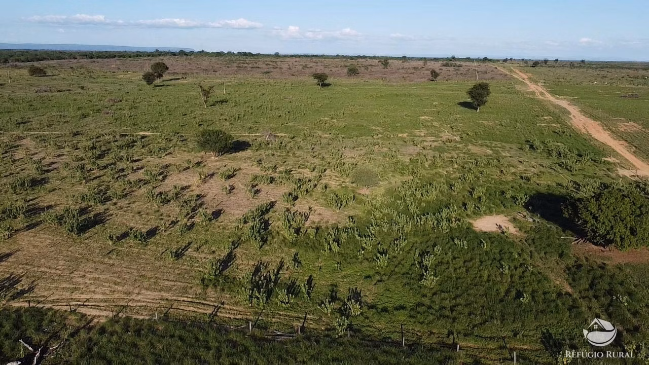 Fazenda de 2.003 ha em Jaíba, MG