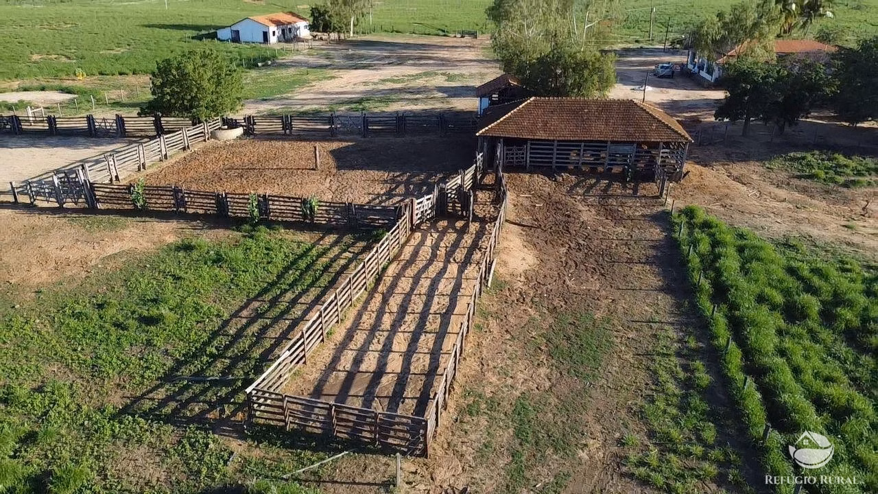 Fazenda de 2.003 ha em Jaíba, MG