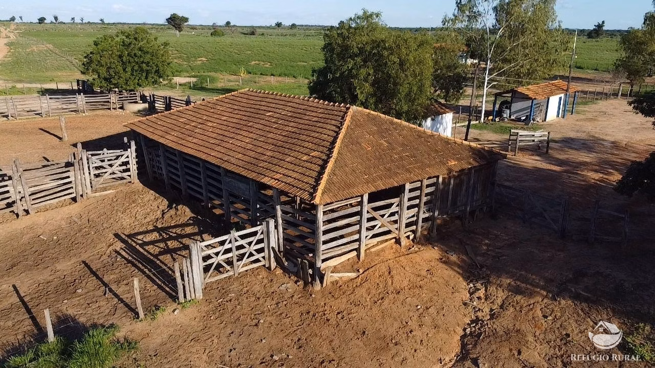 Fazenda de 2.003 ha em Jaíba, MG