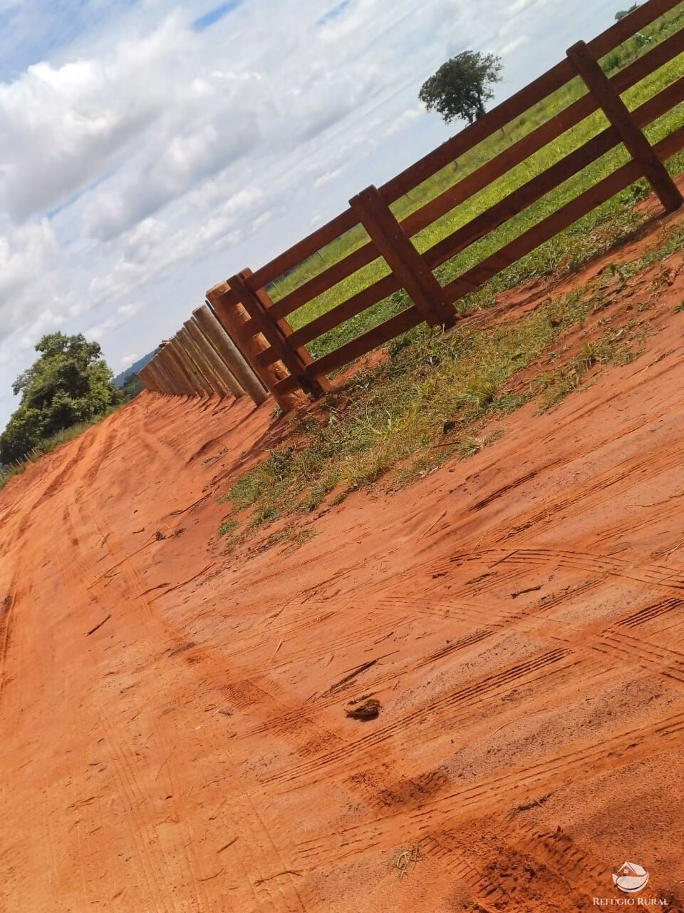 Fazenda de 317 ha em Cassilândia, MS