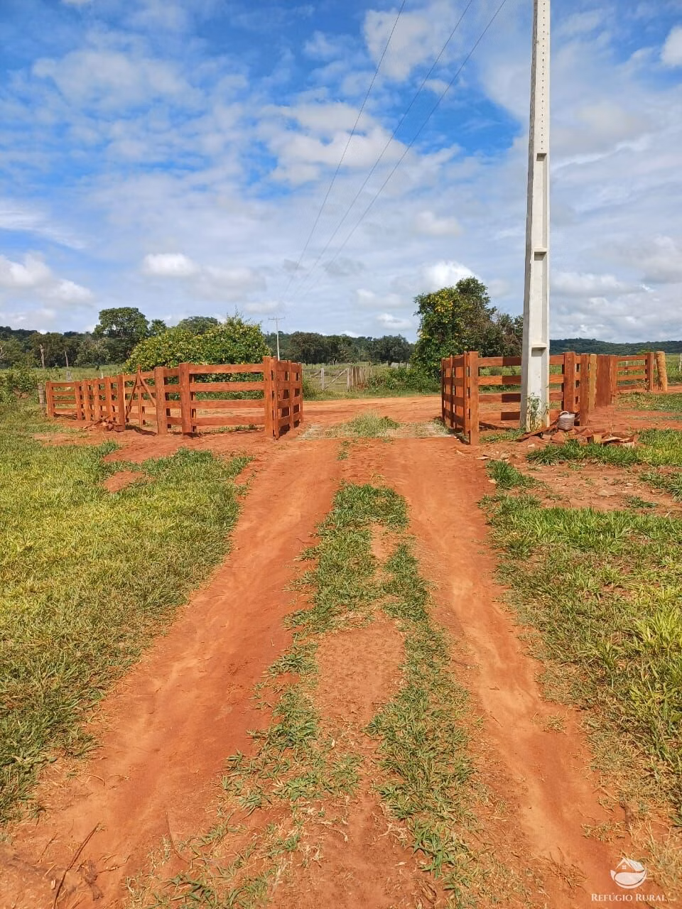 Fazenda de 317 ha em Cassilândia, MS