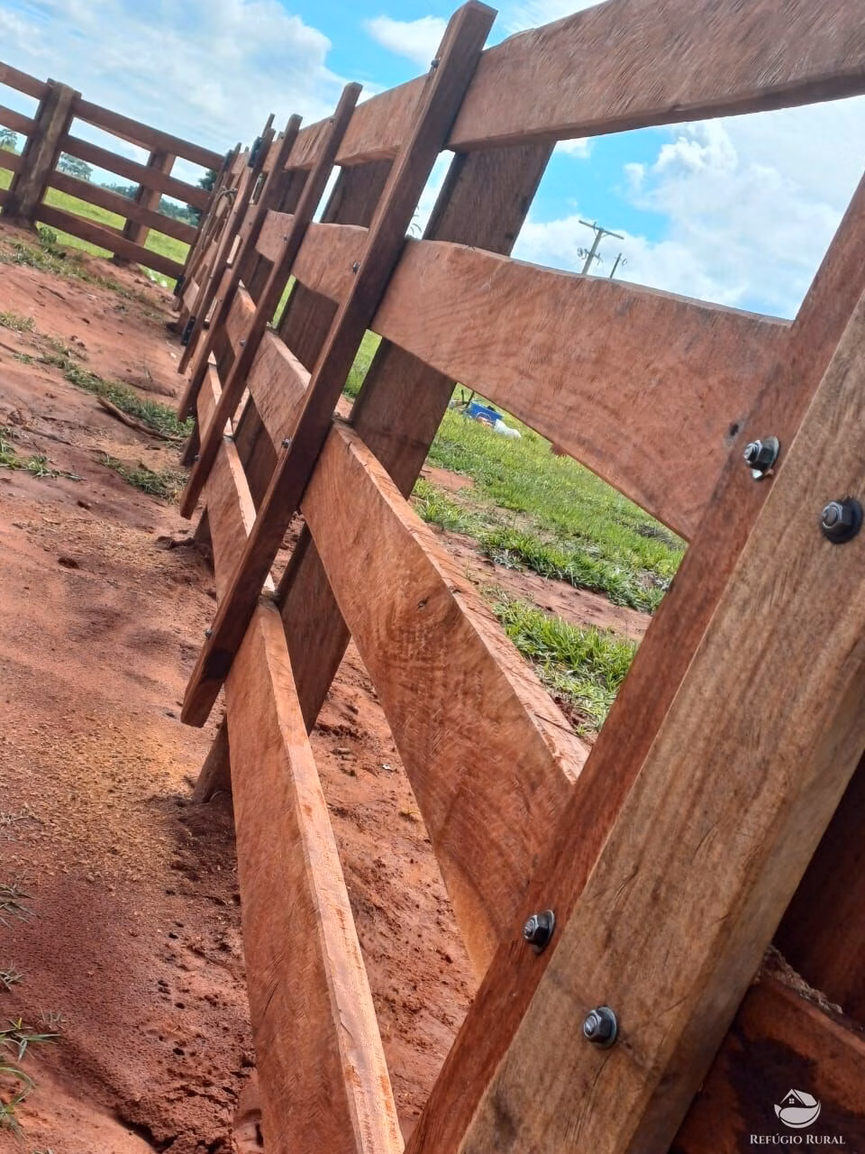 Fazenda de 317 ha em Cassilândia, MS