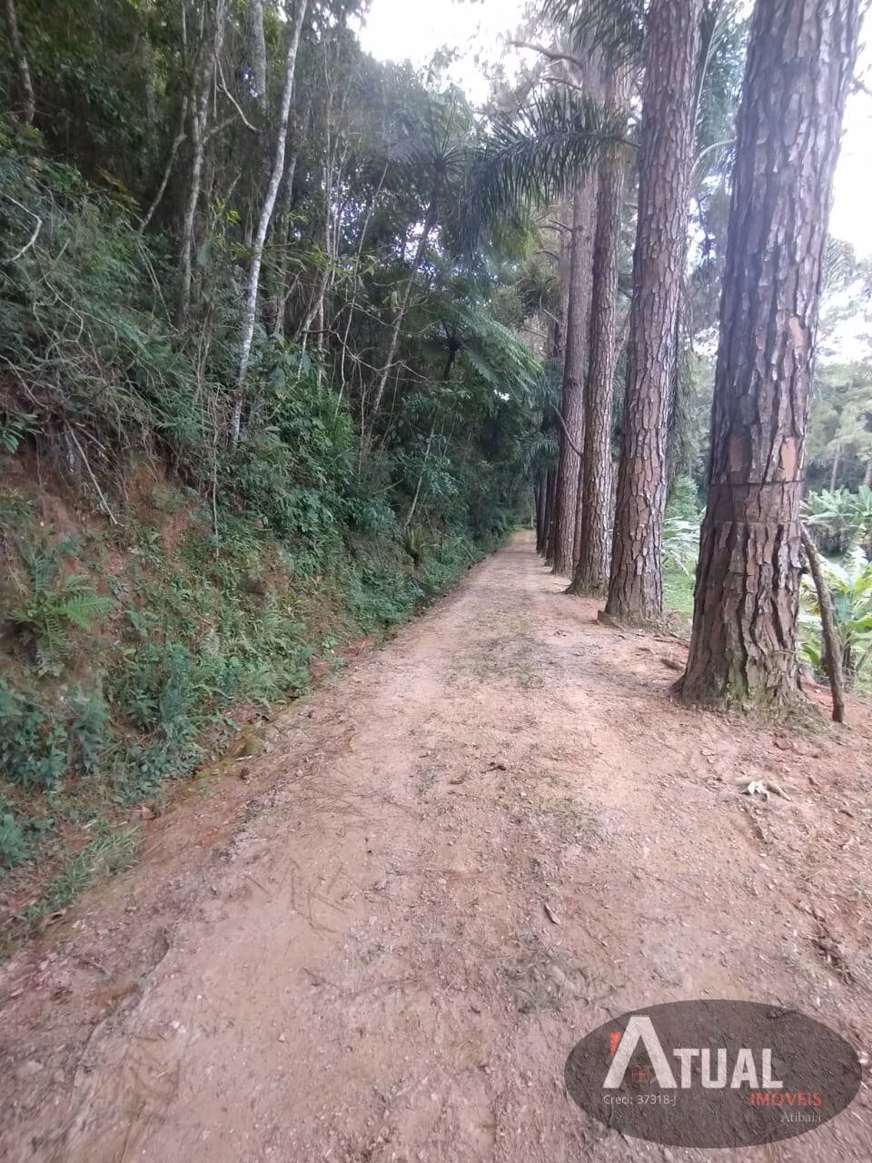 Plot of 20 acres in Mairiporã, SP, Brazil