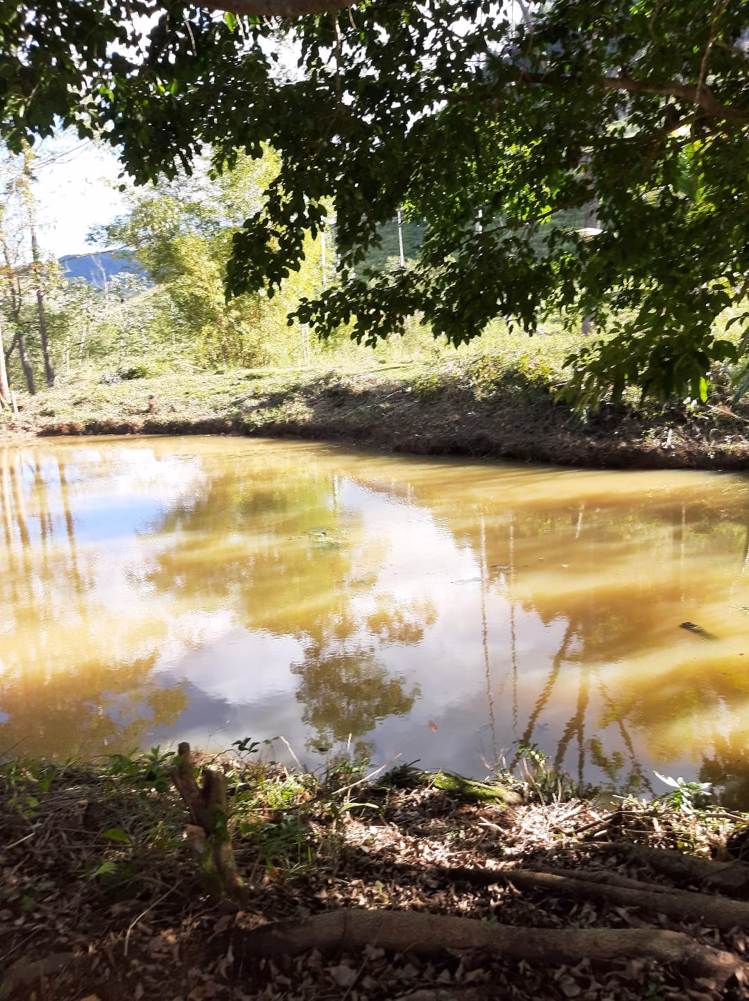 Chácara de 1 ha em Itamarati de Minas, MG