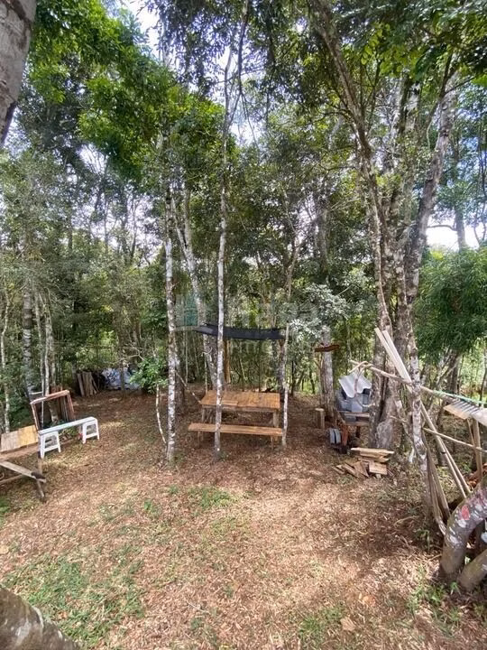 Chácara de 1 ha em Alfredo Wagner, SC